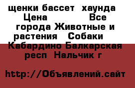 щенки бассет- хаунда › Цена ­ 20 000 - Все города Животные и растения » Собаки   . Кабардино-Балкарская респ.,Нальчик г.